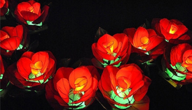 �̾W(w��ng)��I(y��)