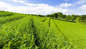 �̾W(w��ng)��I(y��)