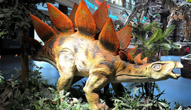 �̾W(w��ng)��I(y��)