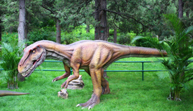 �̾W(w��ng)��I(y��)