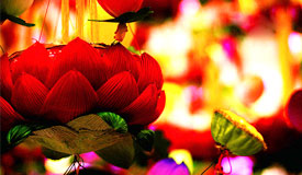 �̾W(w��ng)��I(y��)